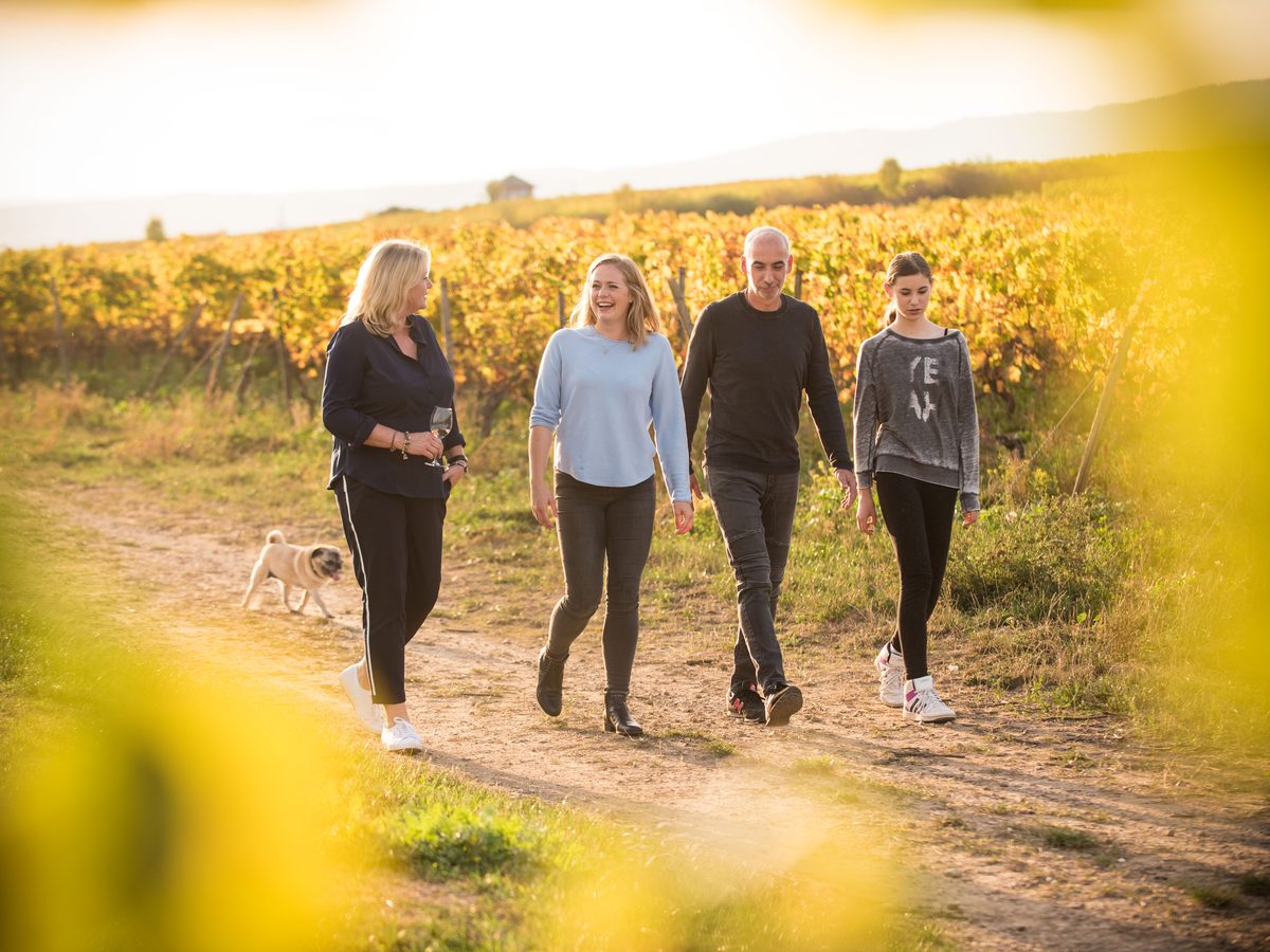 Weinwanderung bei Wiesbaden: Weinberge des Bio-Weinguts Friedel Russler in Walluf
